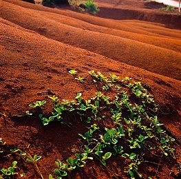 快节奏第一人称动作射击游戏《我是你的野兽》正式推出 获特别好评